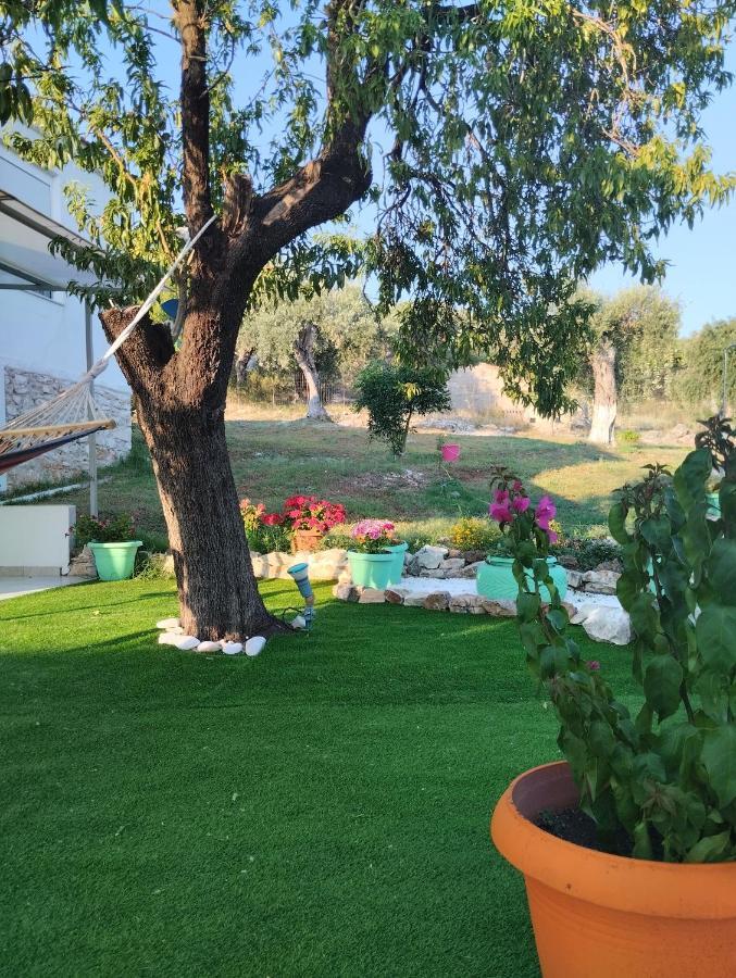 Loukia'S House Βίλα Σκάλα Καλλιράχης Εξωτερικό φωτογραφία